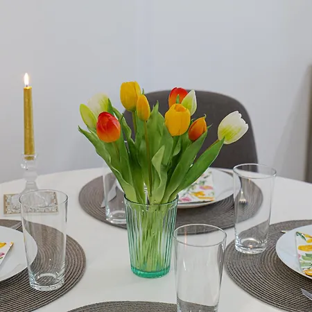 Tulip Dreamland