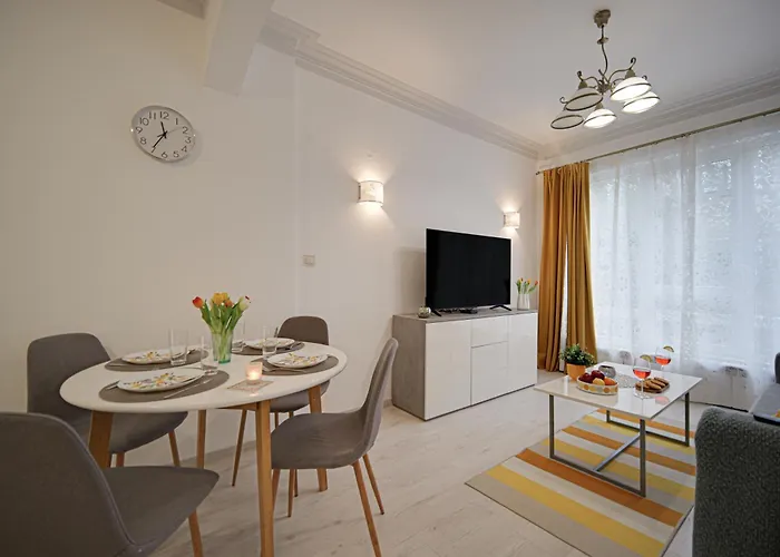 Tulip Dreamland * Sofia