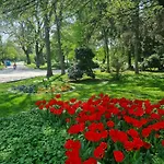 Appartement Tulip Dreamland