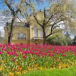 Apartament Tulip Dreamland