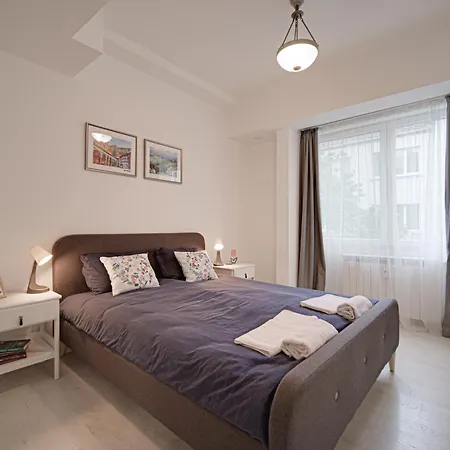 Tulip Dreamland * Sofie