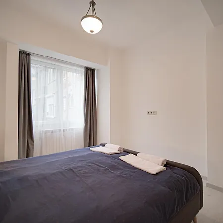 Tulip Dreamland Sofie