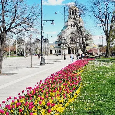 Appartement Tulip Dreamland