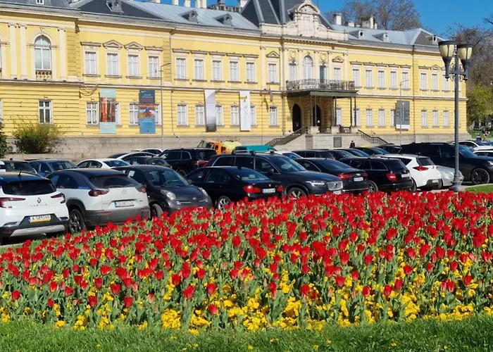 Апартаменты Tulip Dreamland *