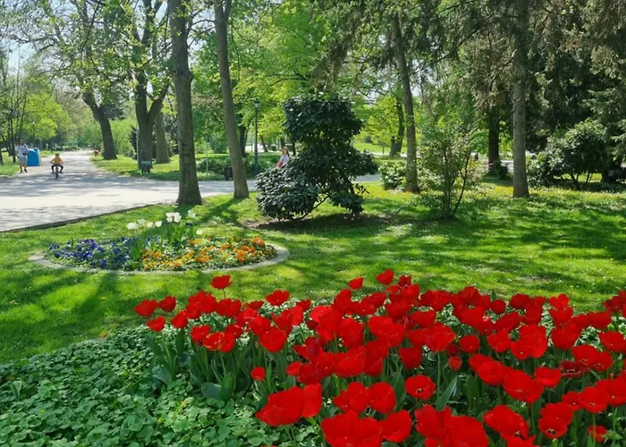 Apartmán Tulip Dreamland