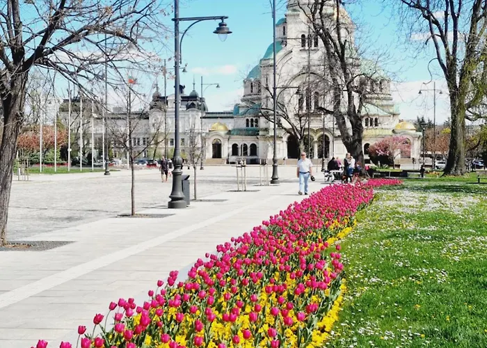 Апартаменты Tulip Dreamland