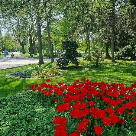 דירה Tulip Dreamland