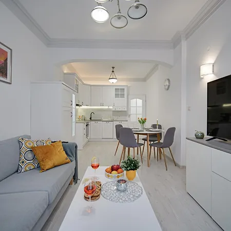 Tulip Dreamland * 索菲亞